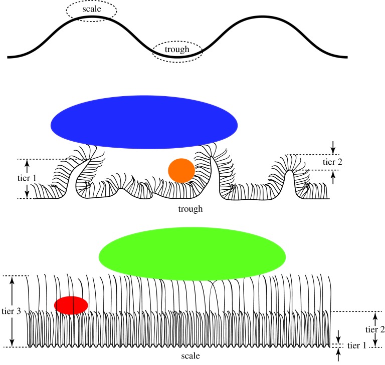 Figure 4.