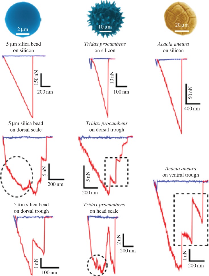 Figure 8.