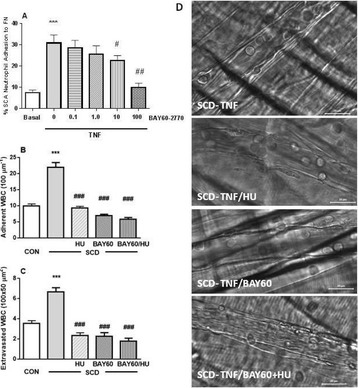 Fig. 14