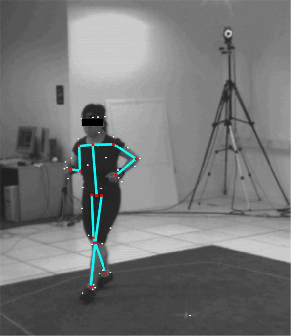 Fig. 8