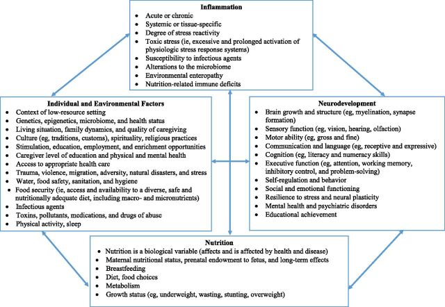 FIGURE 1. Relationships among individual and environmental factors, inflammation, nutrition, and neurodevelopment.