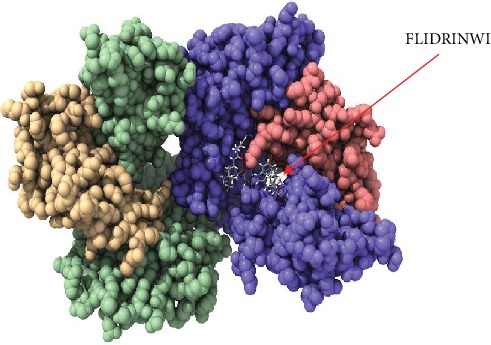 Figure 5