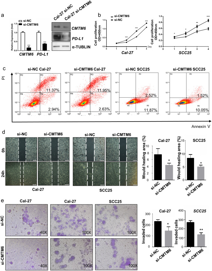 Fig. 2 