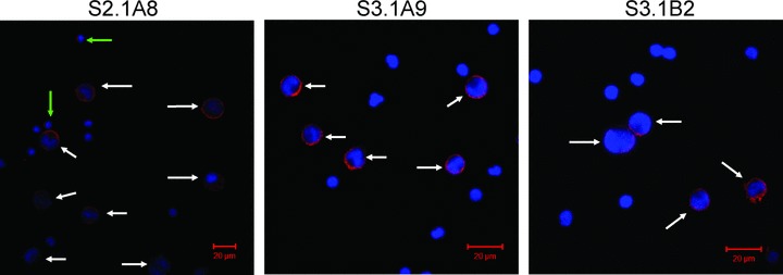 Fig 5