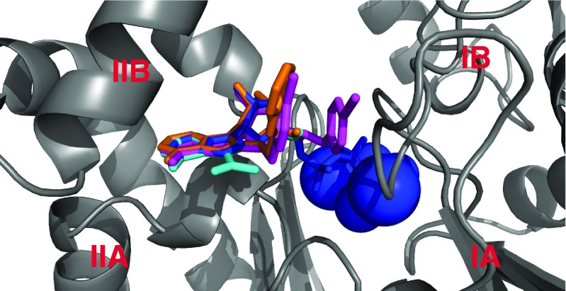 Fig. 10