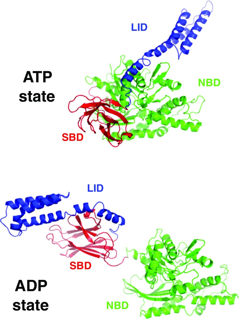 Fig. 1