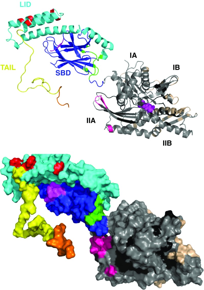 Fig. 9