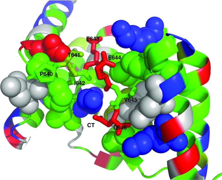 Fig. 8