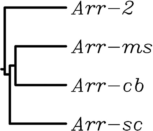 FIG 1