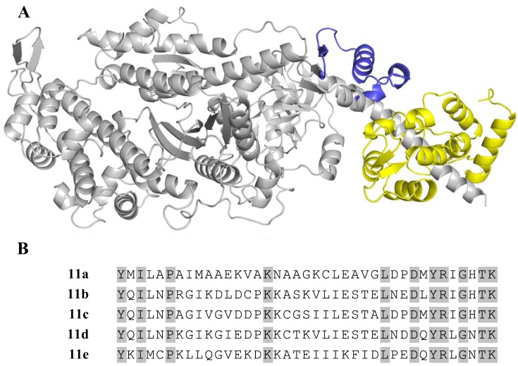 Fig. 1.