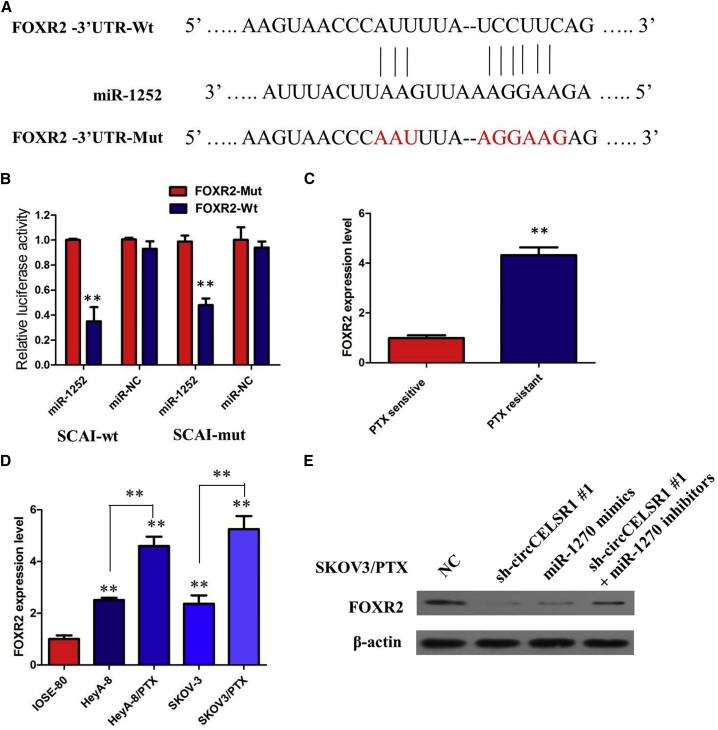 Figure 6