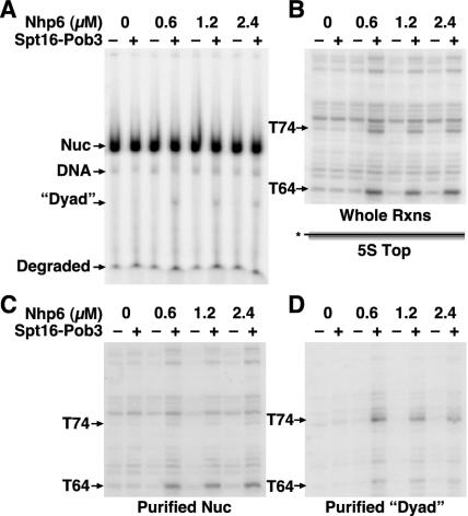 FIG. 5.