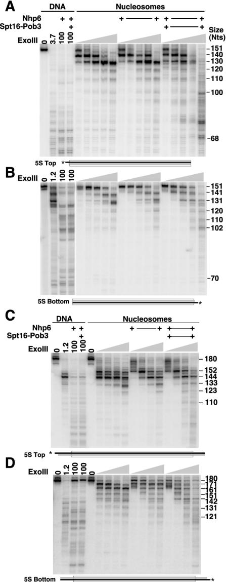 FIG. 9.