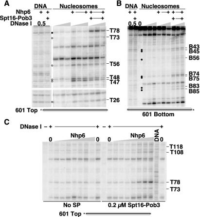 FIG. 7.