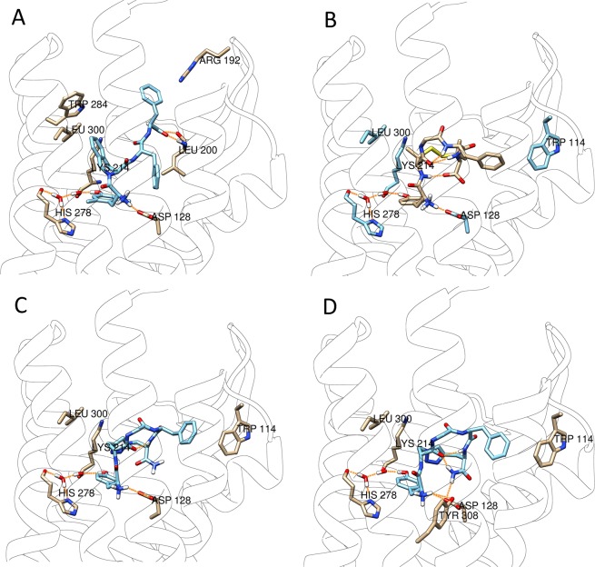 Figure 7