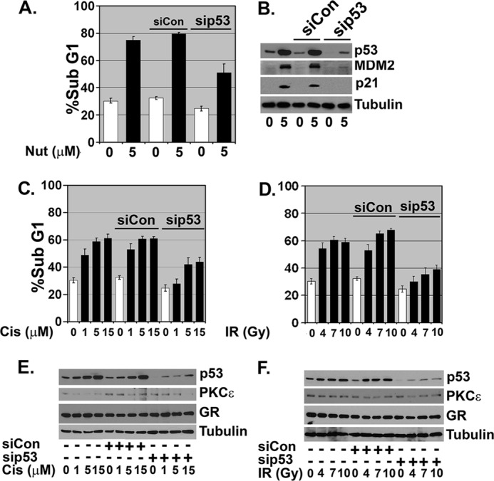 FIGURE 11.