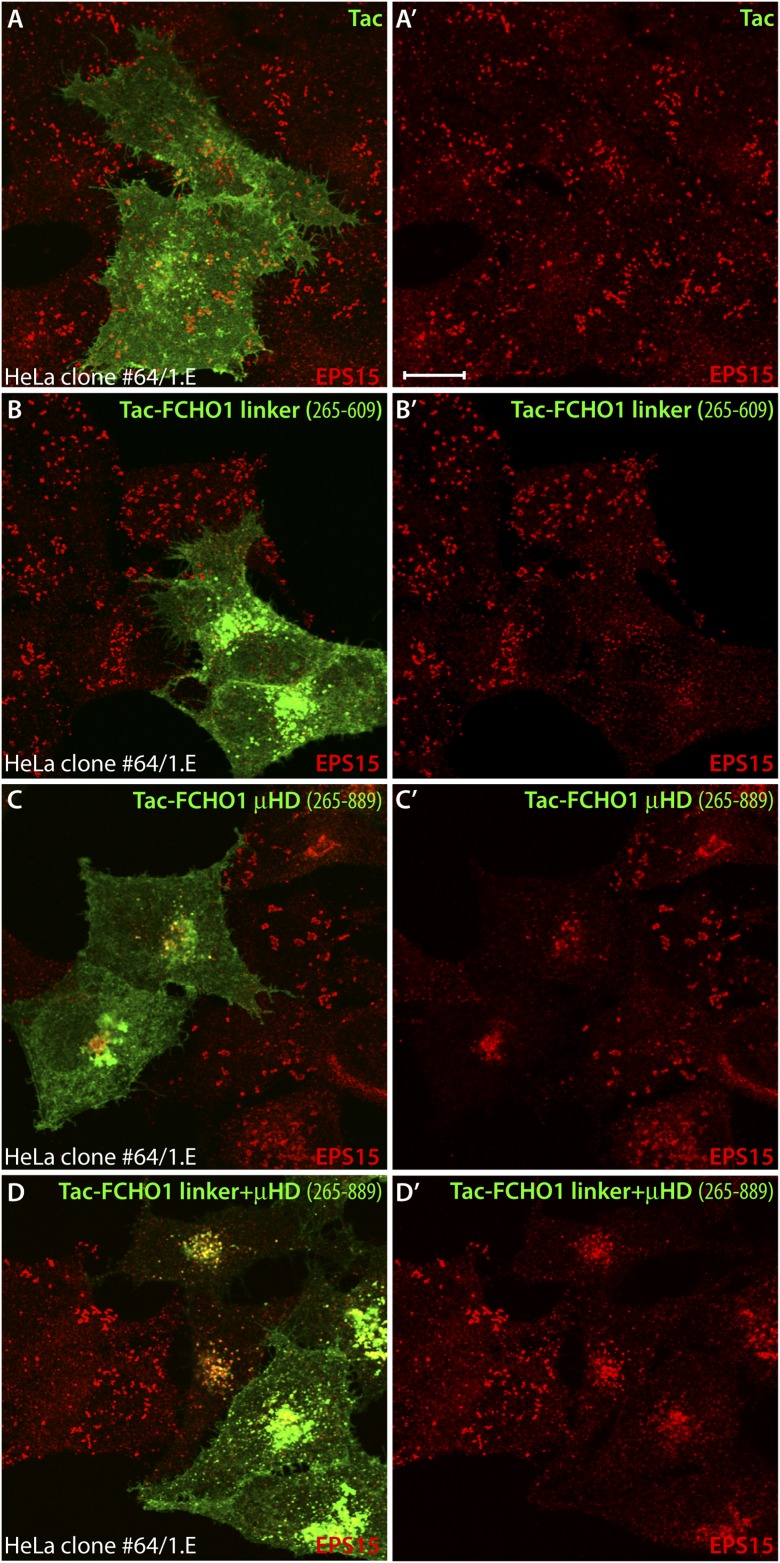 Figure 13—figure supplement 1.