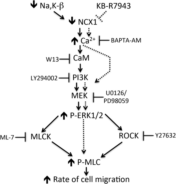 FIGURE 9.