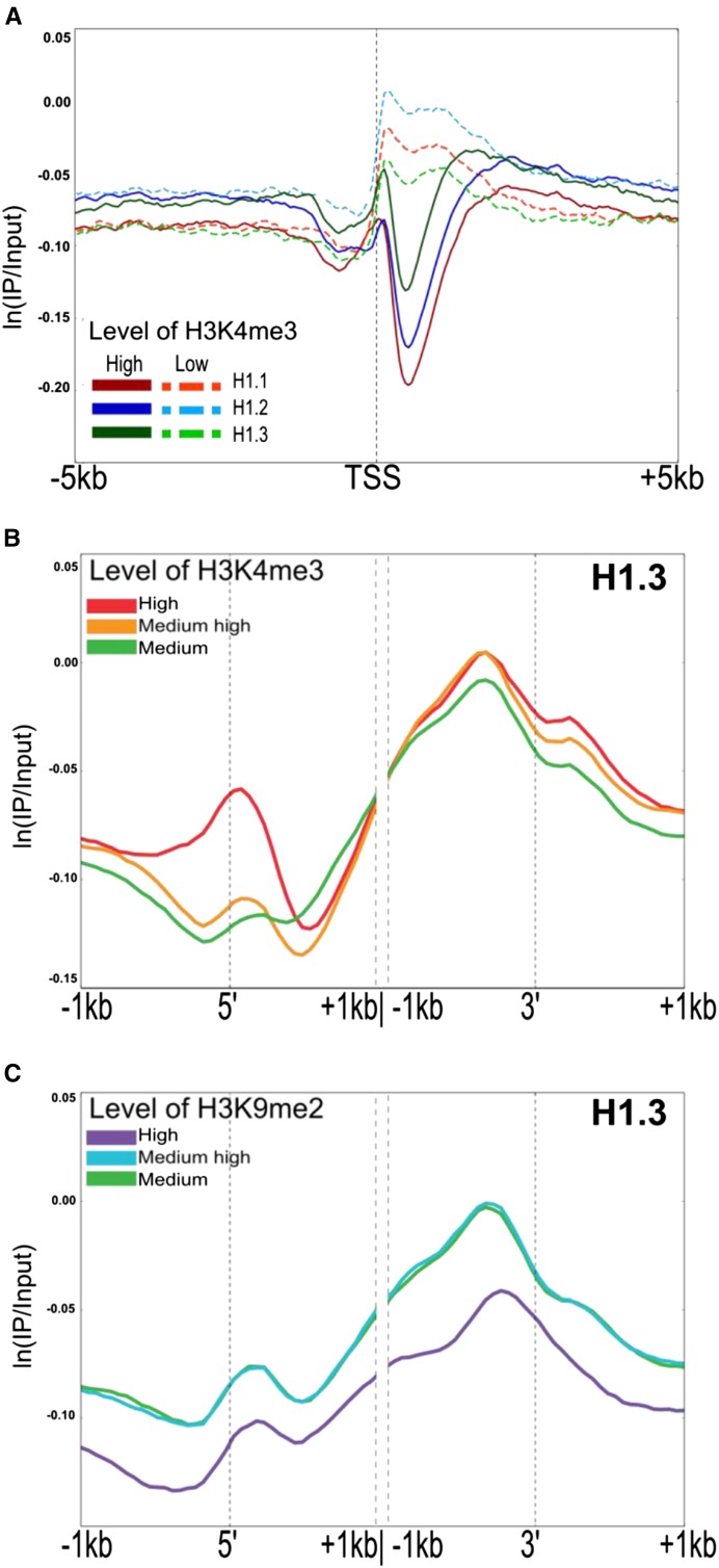 Figure 7.