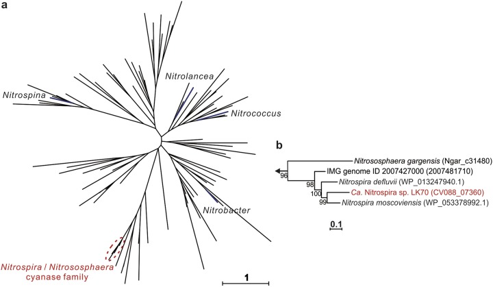 FIG 4