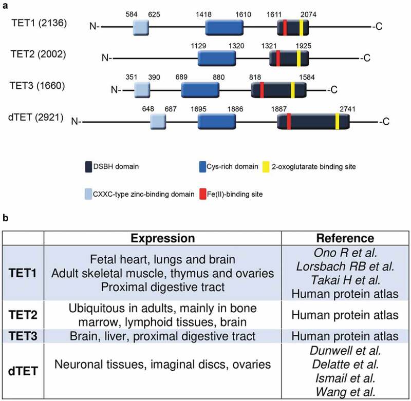 Figure 2.