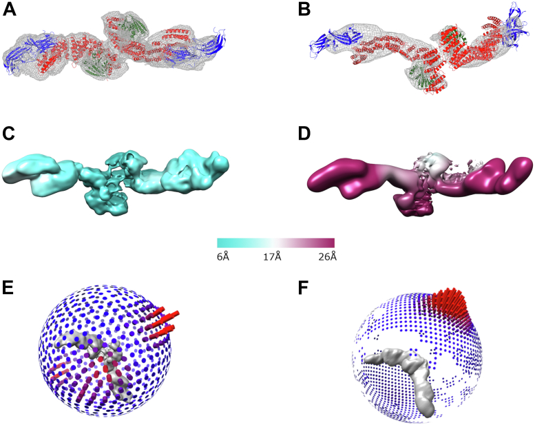 Figure 2