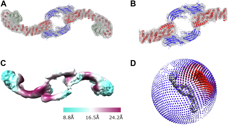 Figure 4