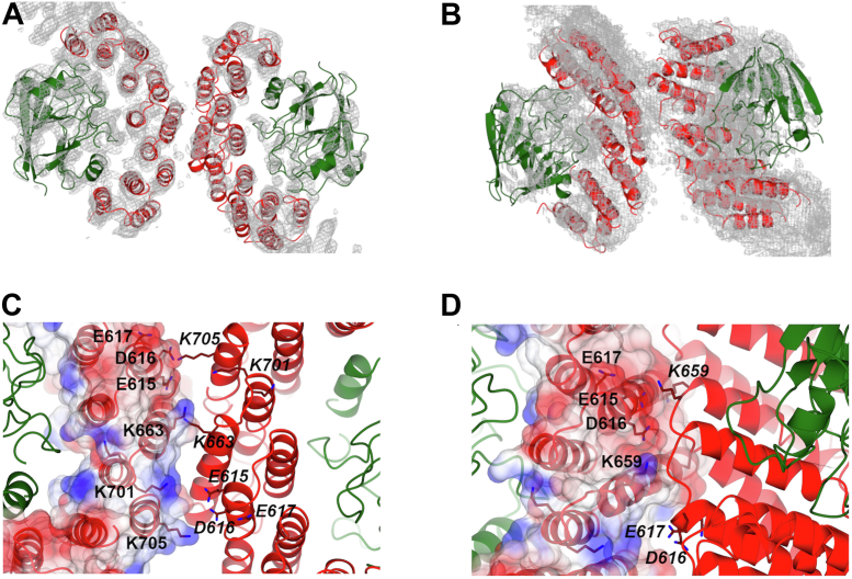 Figure 3