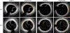 Fig. 1.