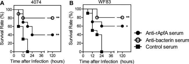 Fig 5