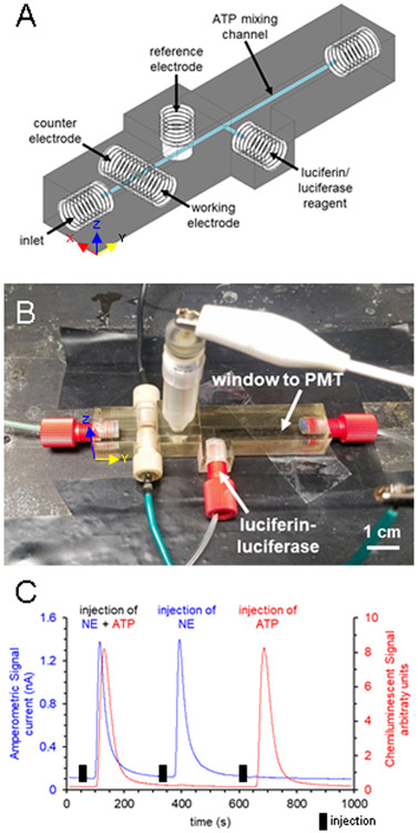 Figure 4.