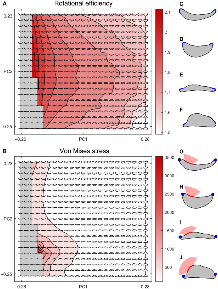 Fig. 3.