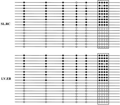 Fig 2.