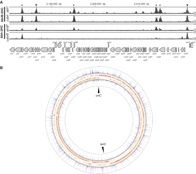 Figure 2.