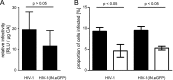 Figure 1—figure supplement 3.