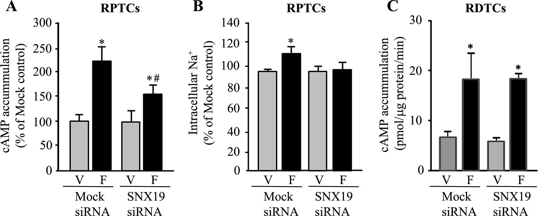 Figure 12.