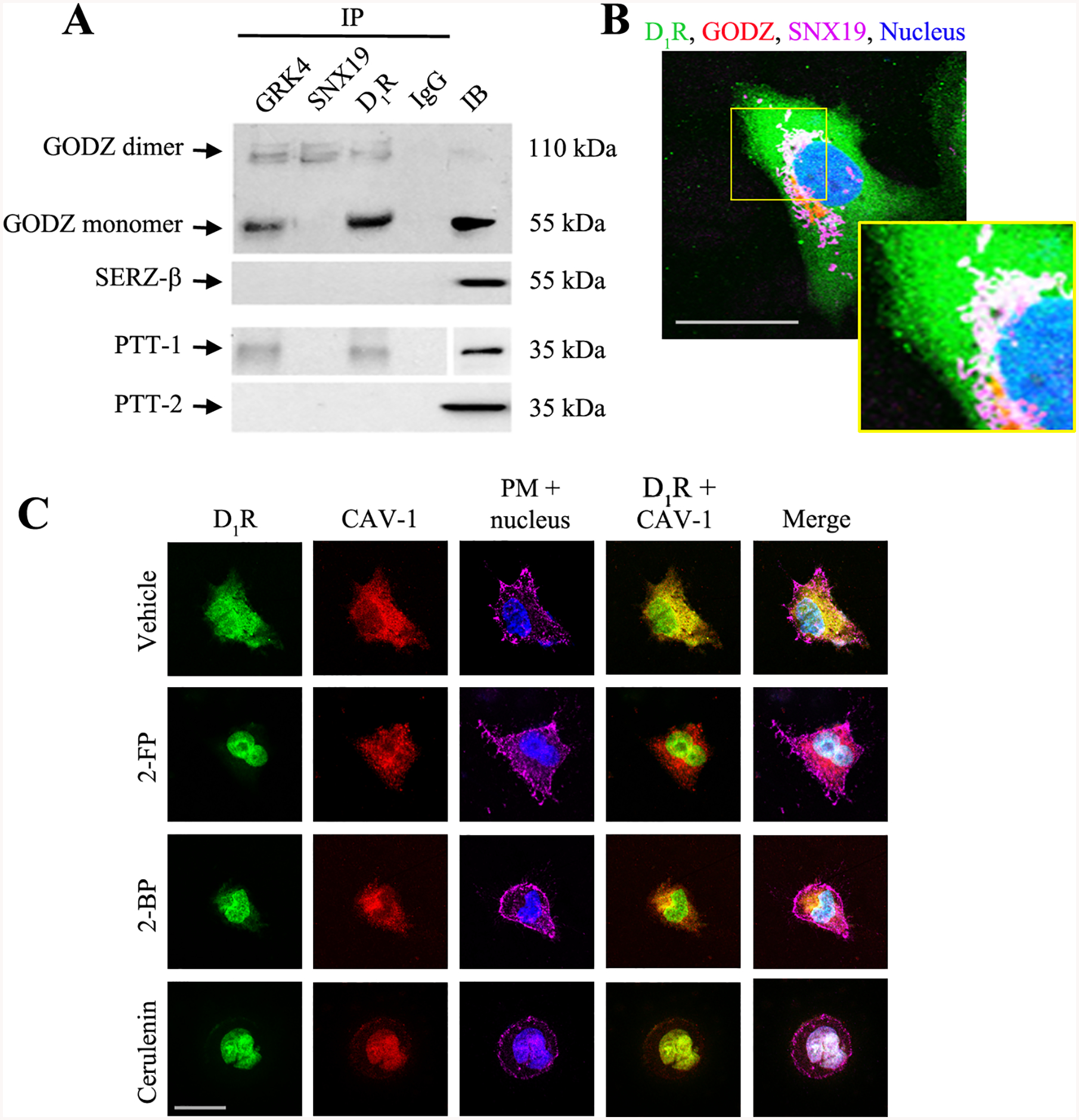 Figure 2.