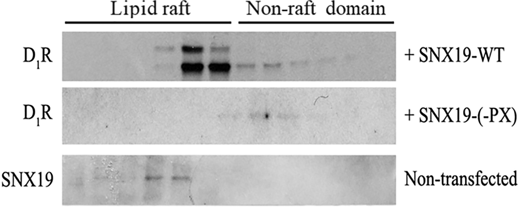 Figure 11.