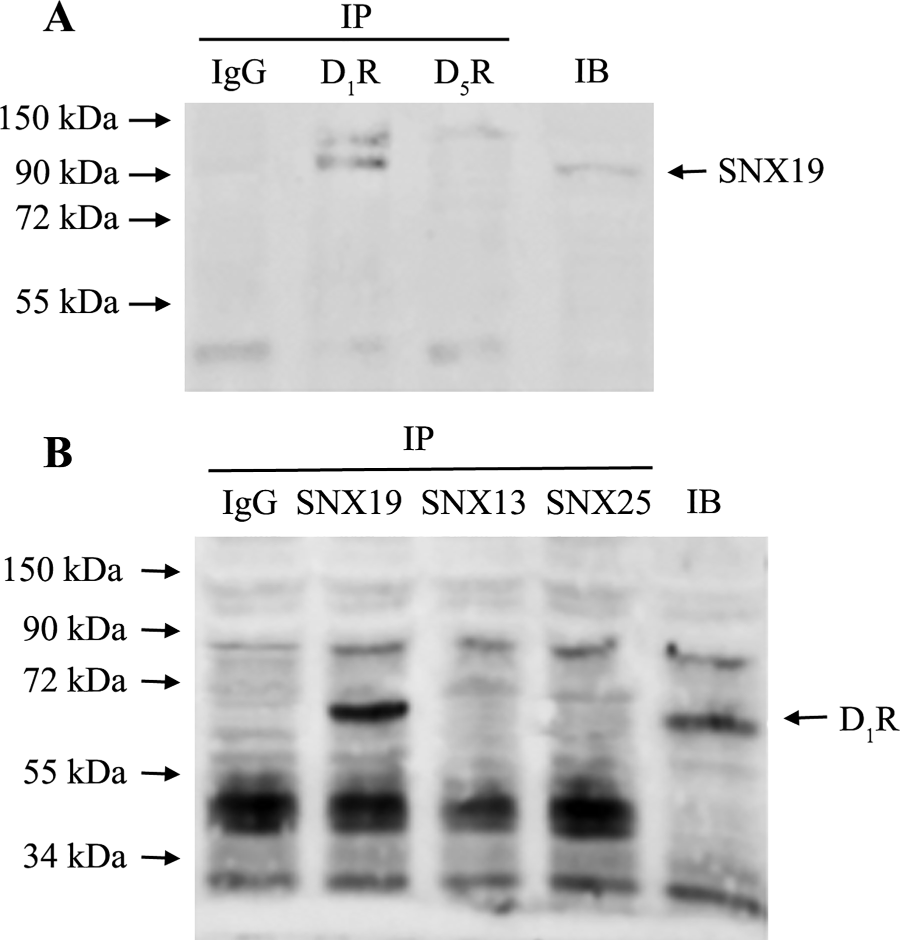 Figure 10.