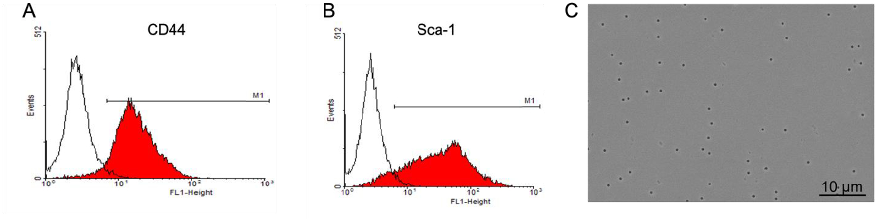 Figure 1.