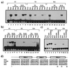 FIG. 8