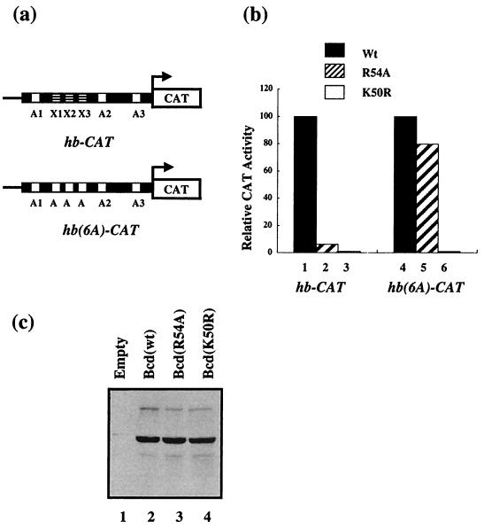 FIG. 7