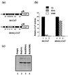 FIG. 7