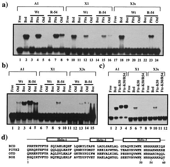 FIG. 8