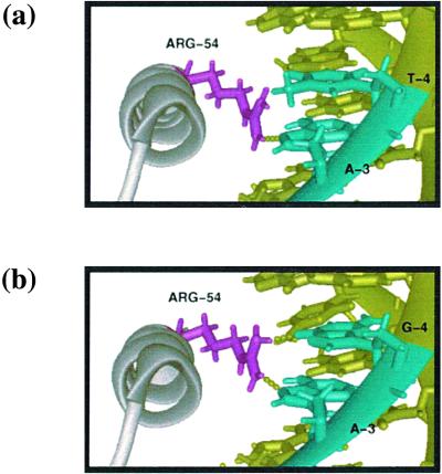 FIG. 9