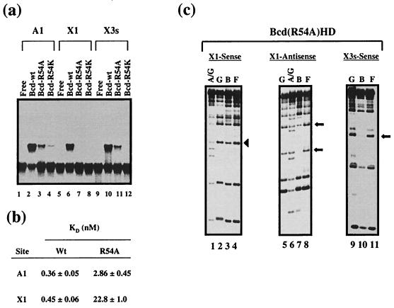 FIG. 6