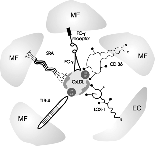 FIG. 3.