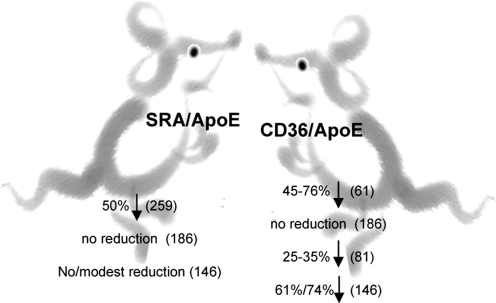 FIG. 9.