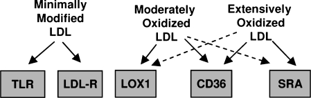 FIG. 7.