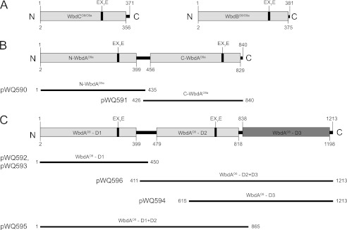 FIGURE 3.